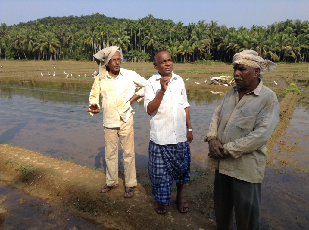 Three farmers in conversation on a paddy bund, coconut groves in the background